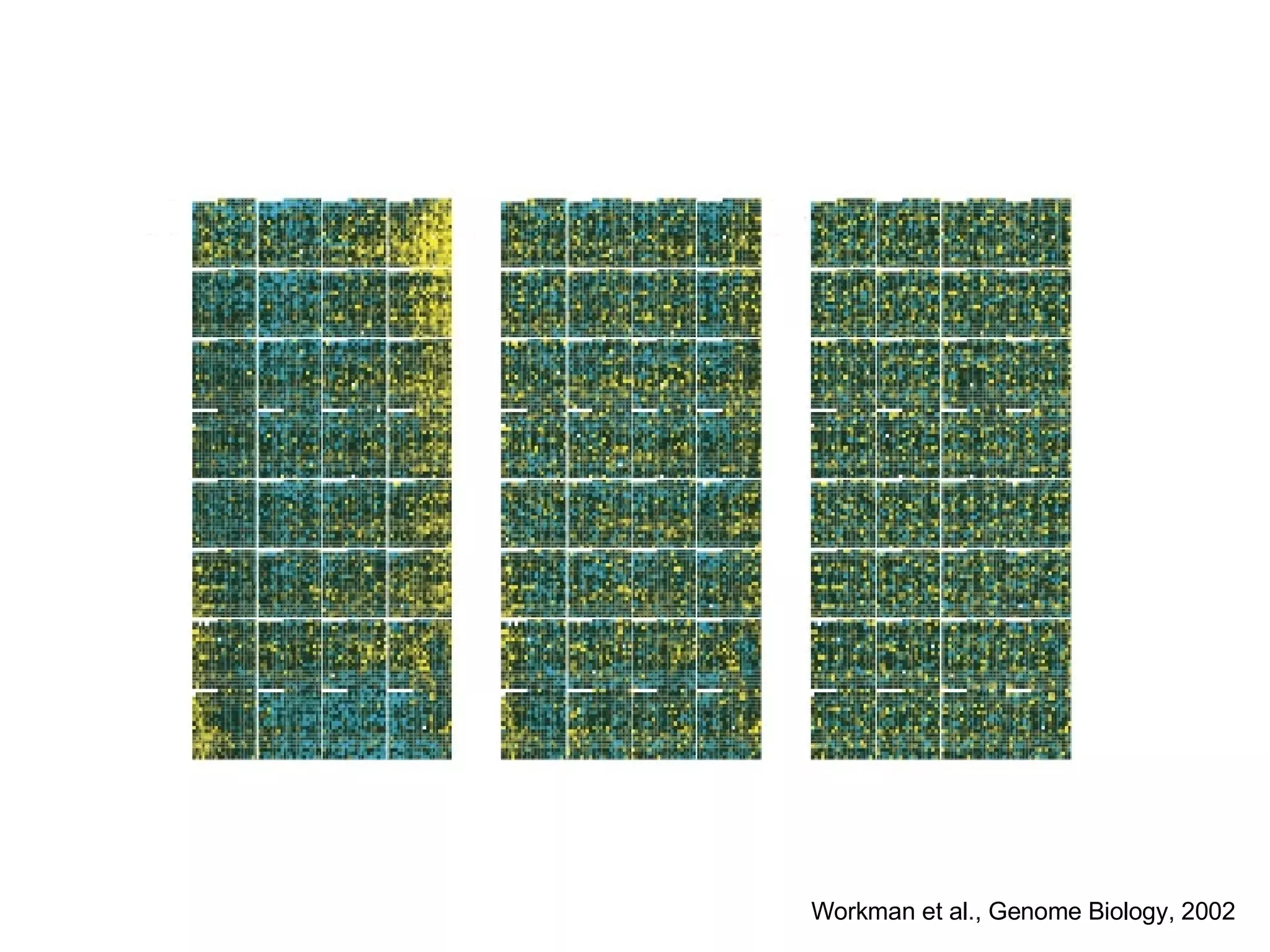 Workman et al., Genome Biology, 2002 