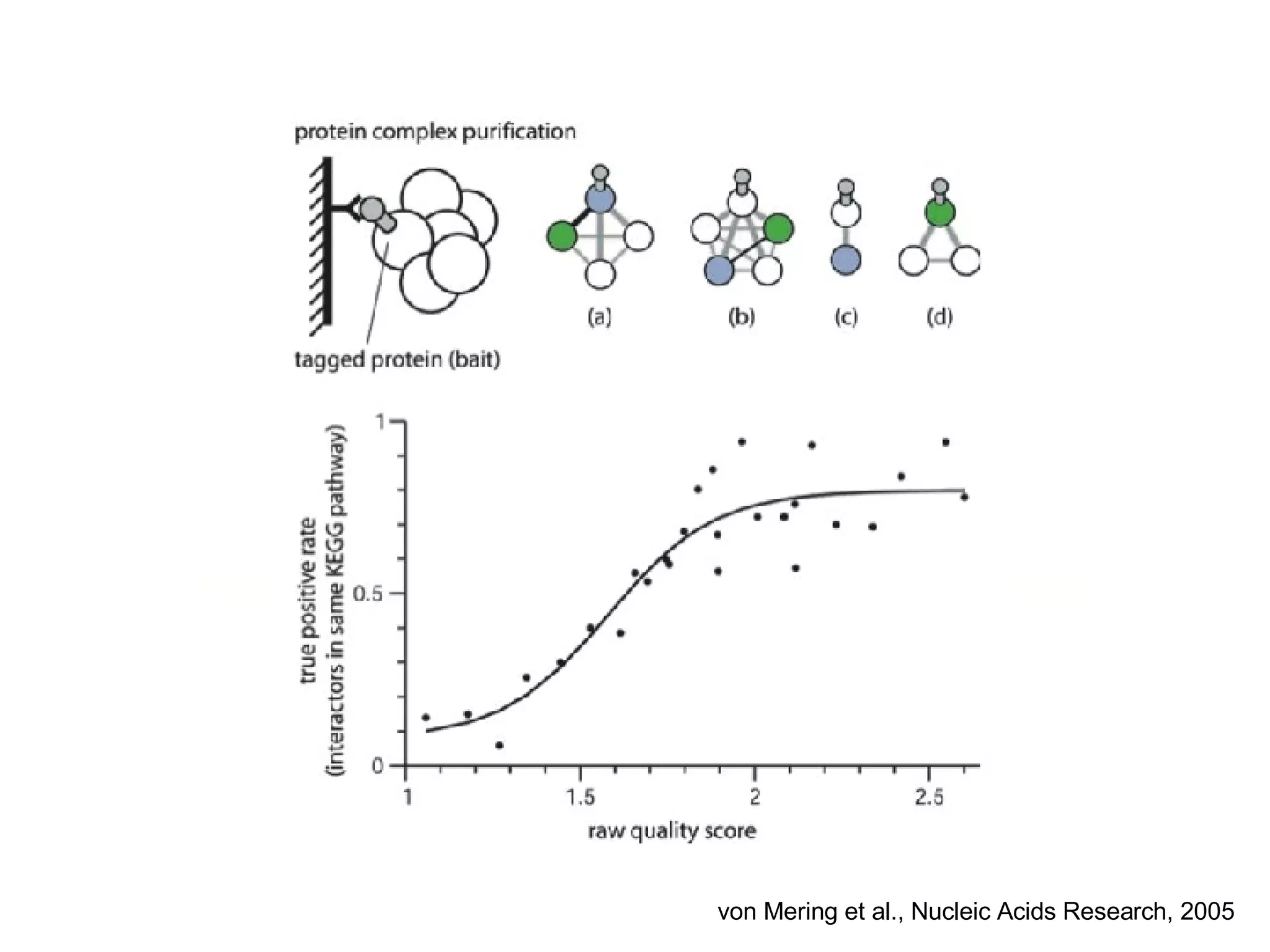 von Mering et al., Nucleic Acids Research, 2005 