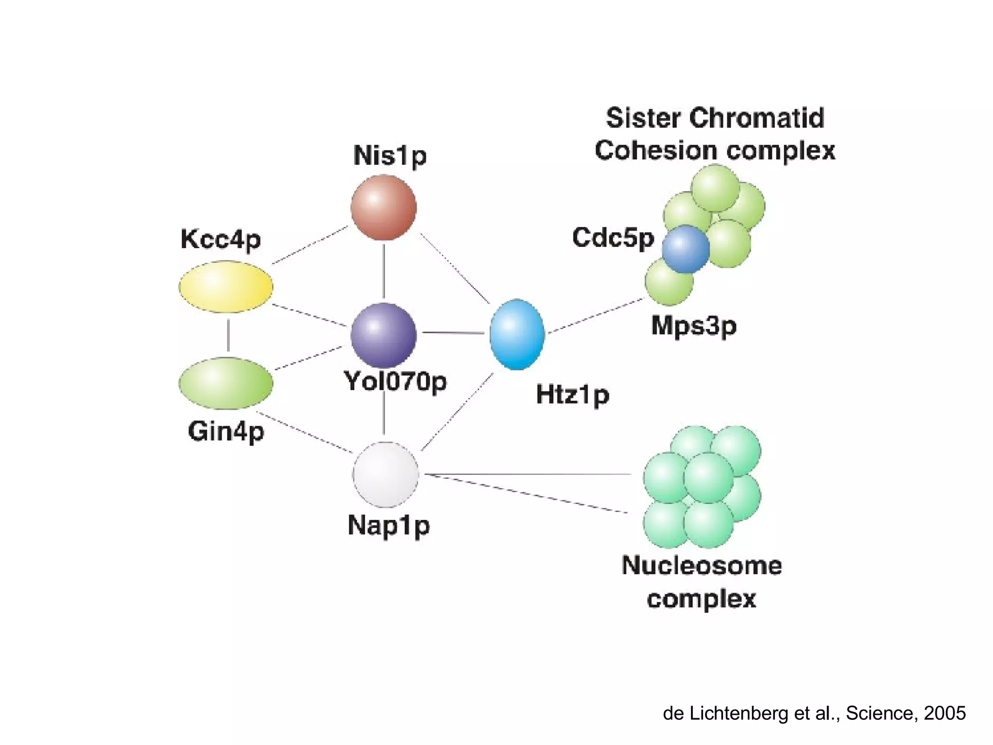 de Lichtenberg et al., Science, 2005 