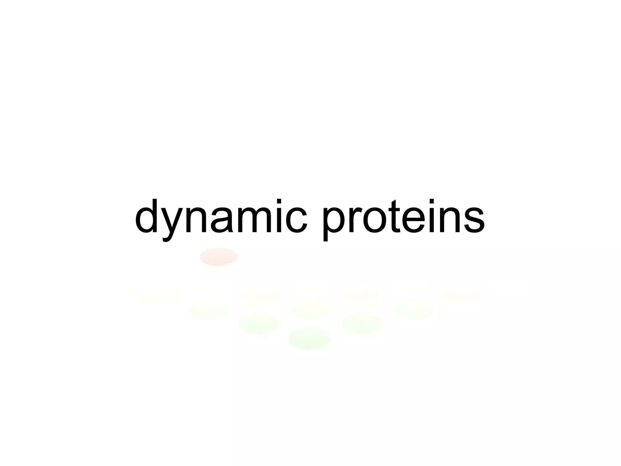 dynamic proteins 