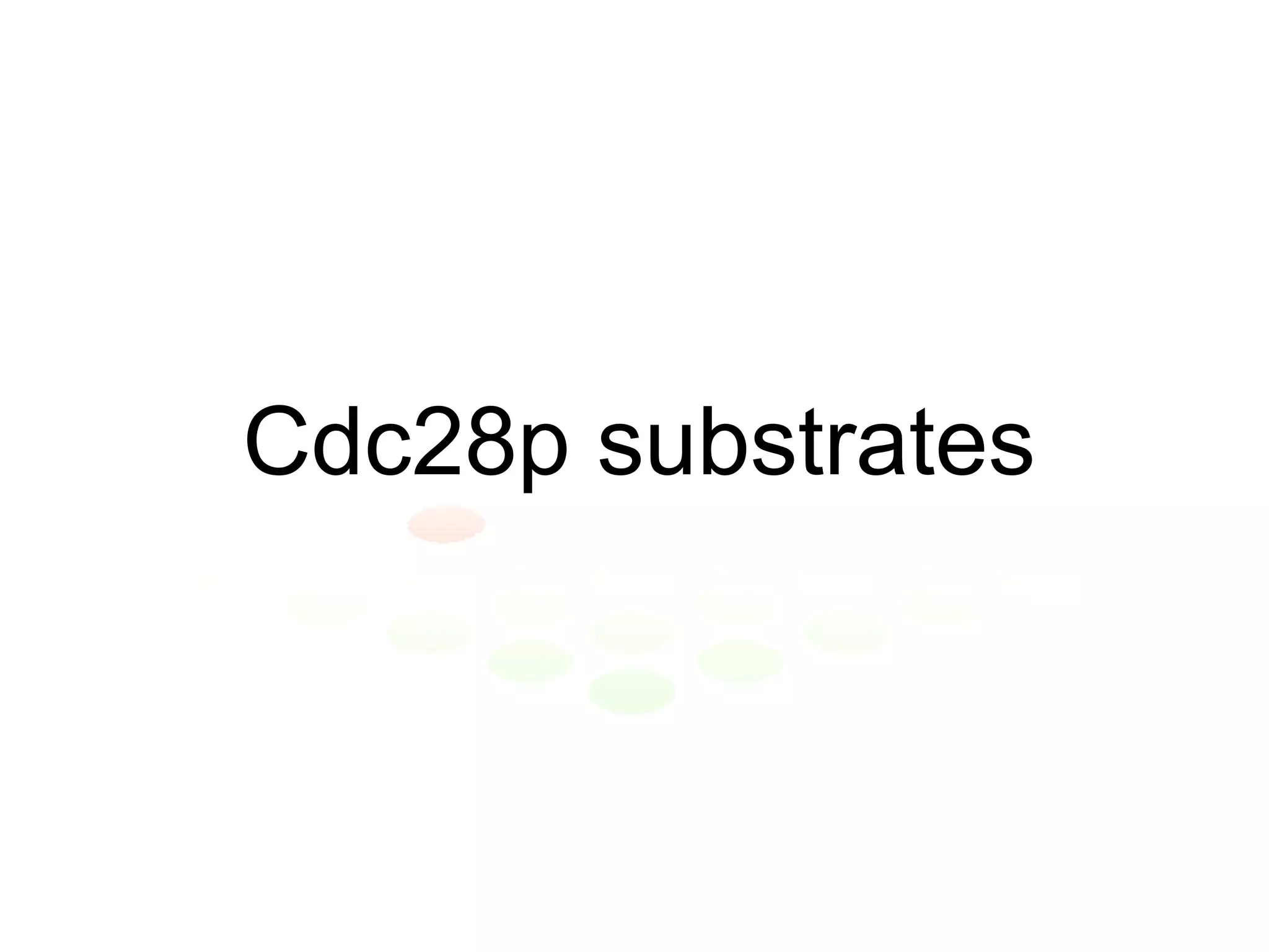 Cdc28p substrates 