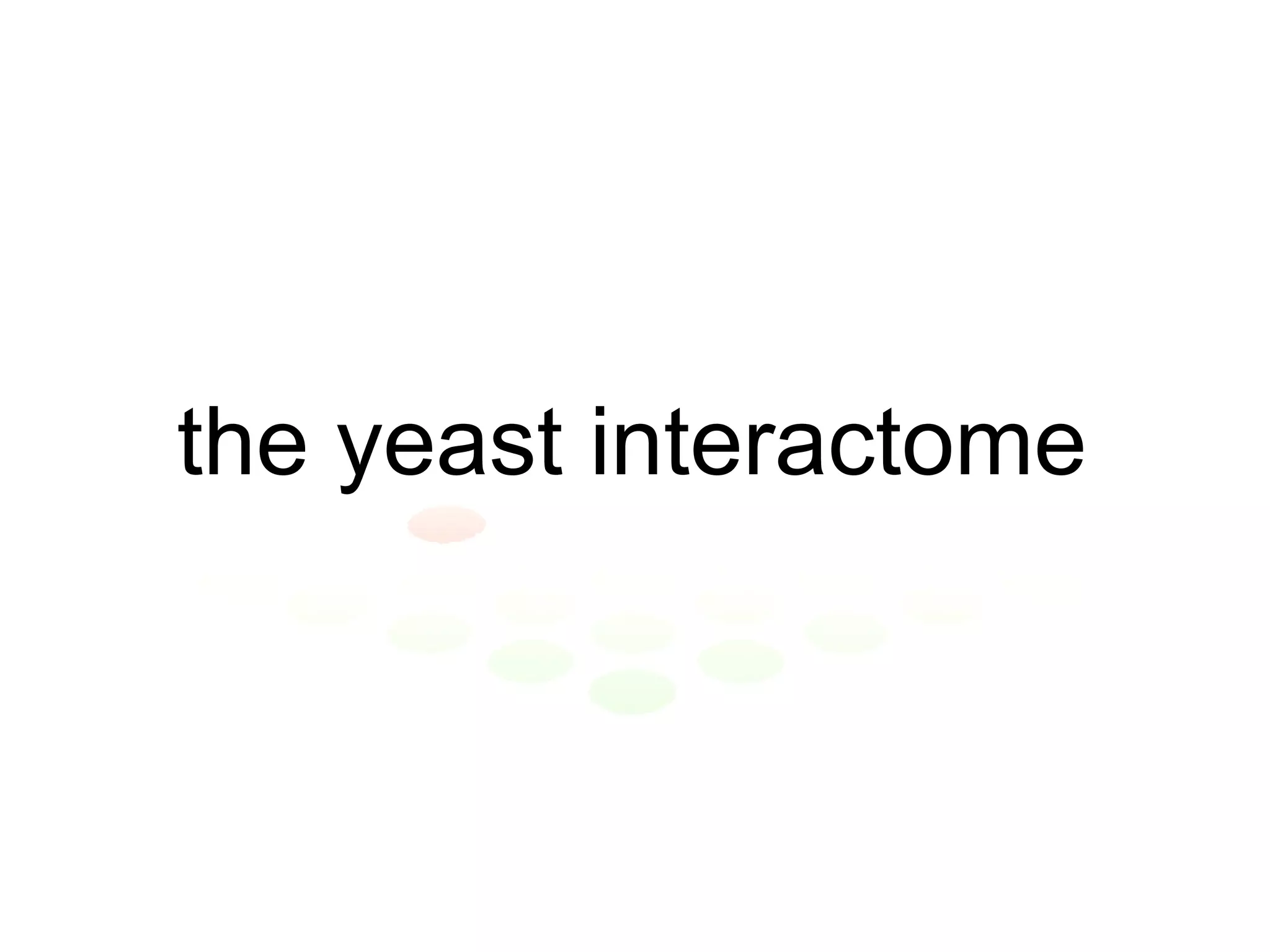 the yeast interactome 