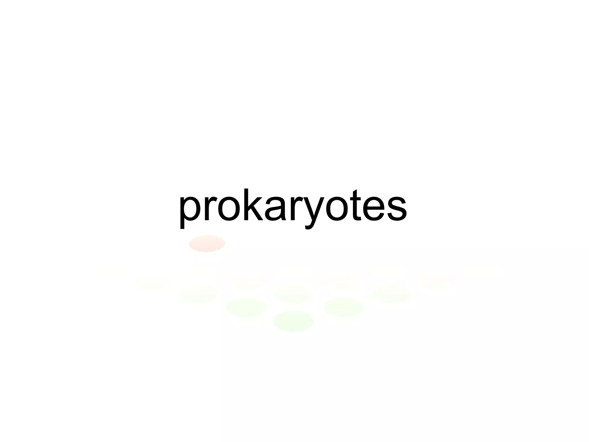 prokaryotes 