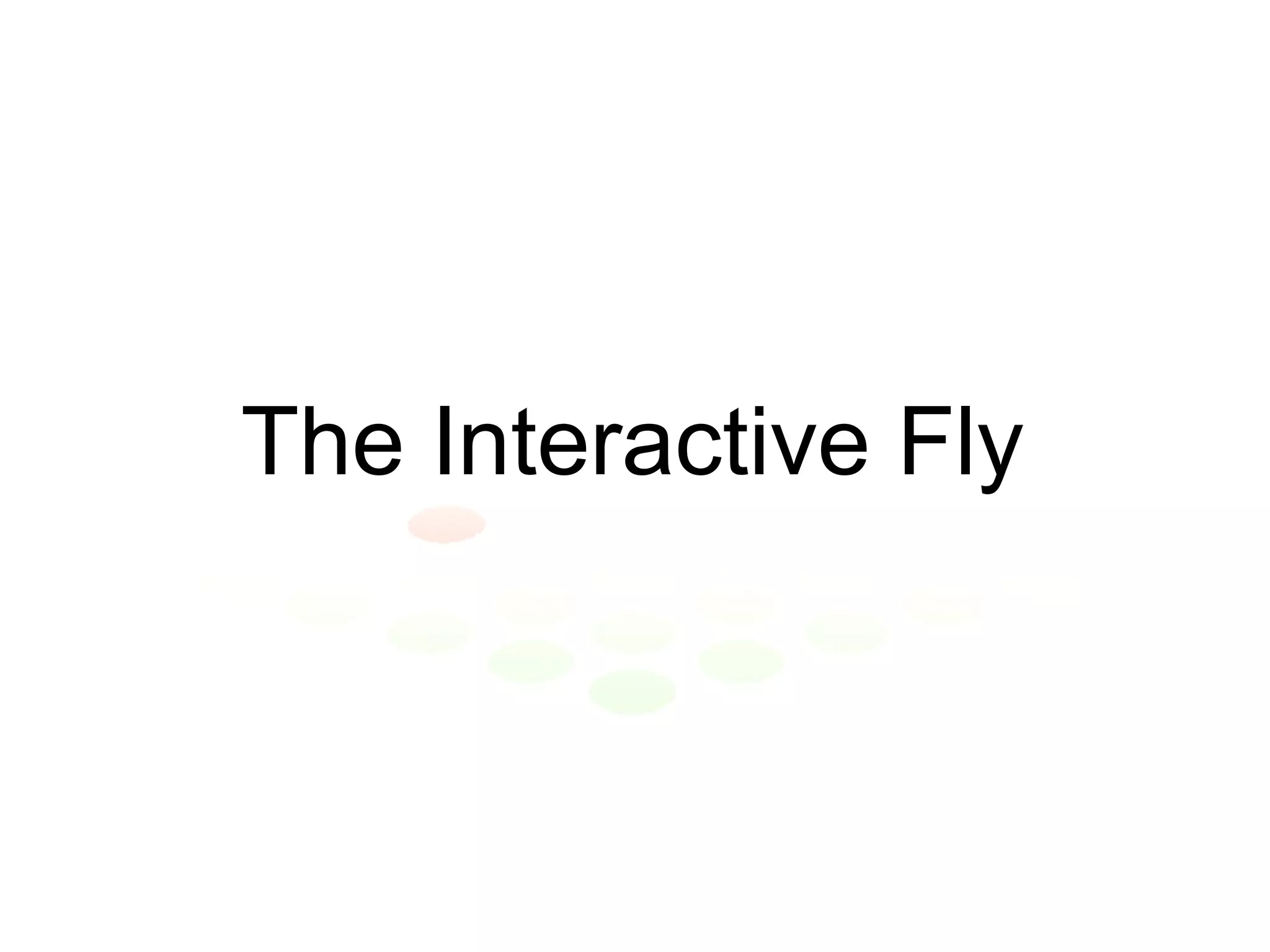 The Interactive Fly 