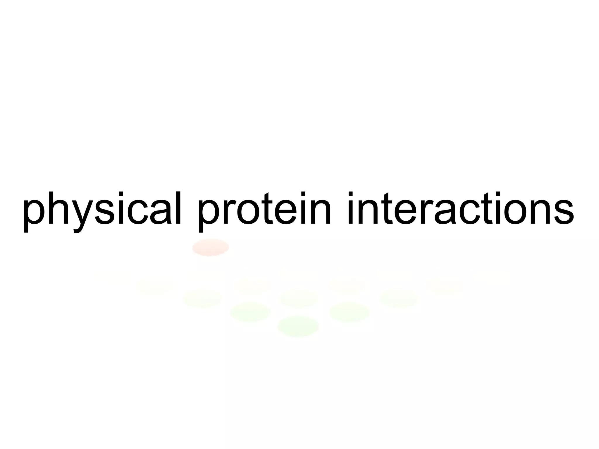 physical protein interactions 