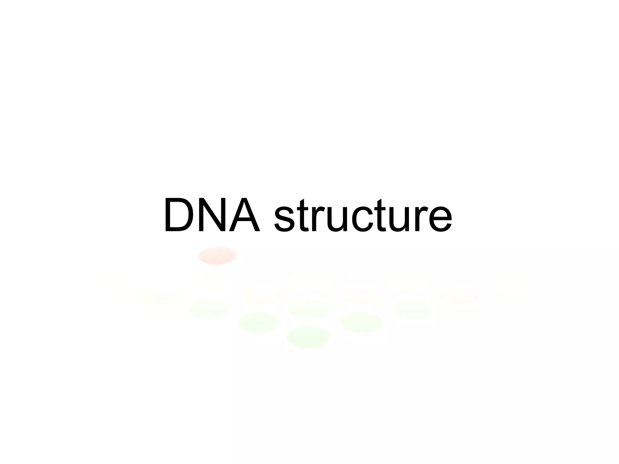 DNA structure 