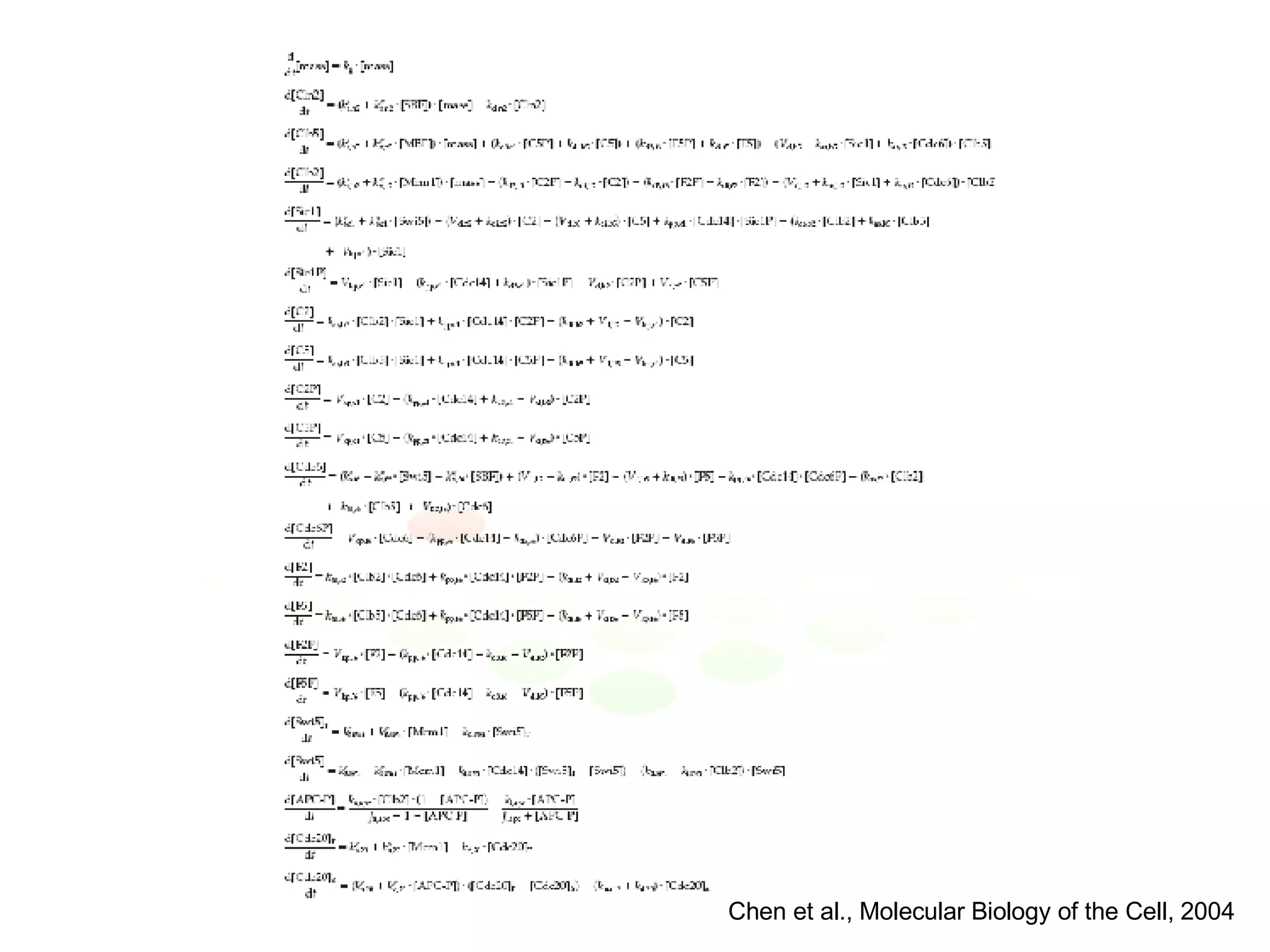 Chen et al., Molecular Biology of the Cell, 2004 