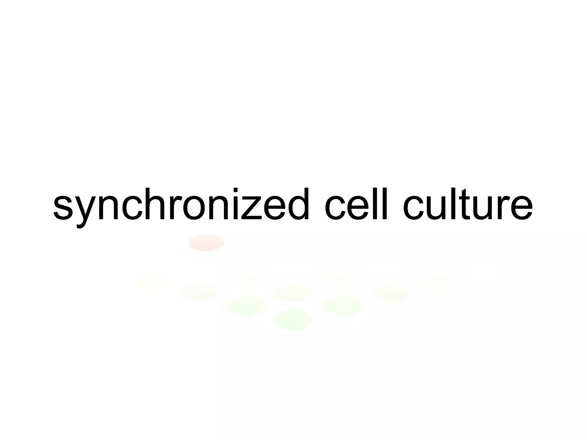 synchronized cell culture 