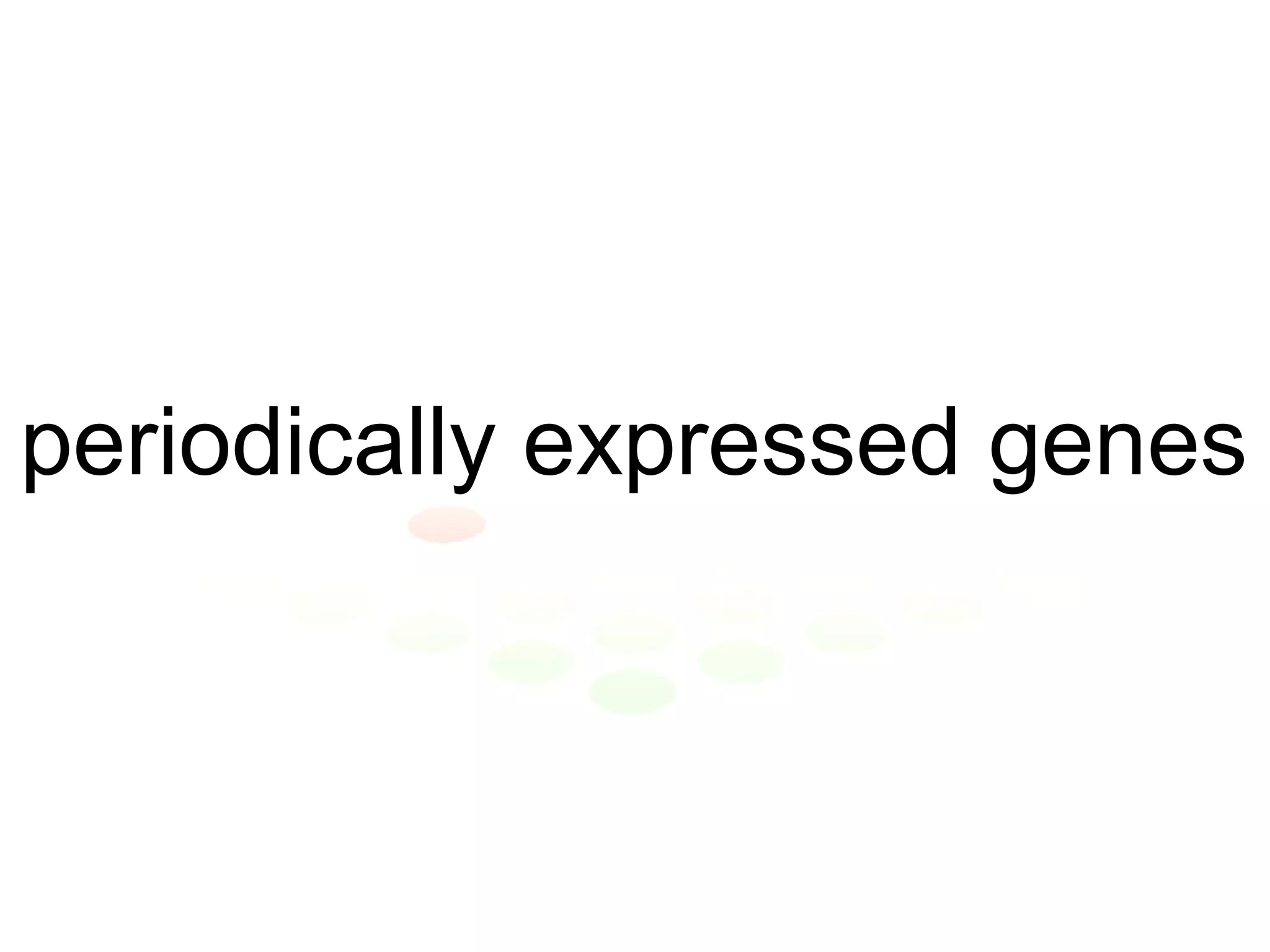 periodically expressed genes 