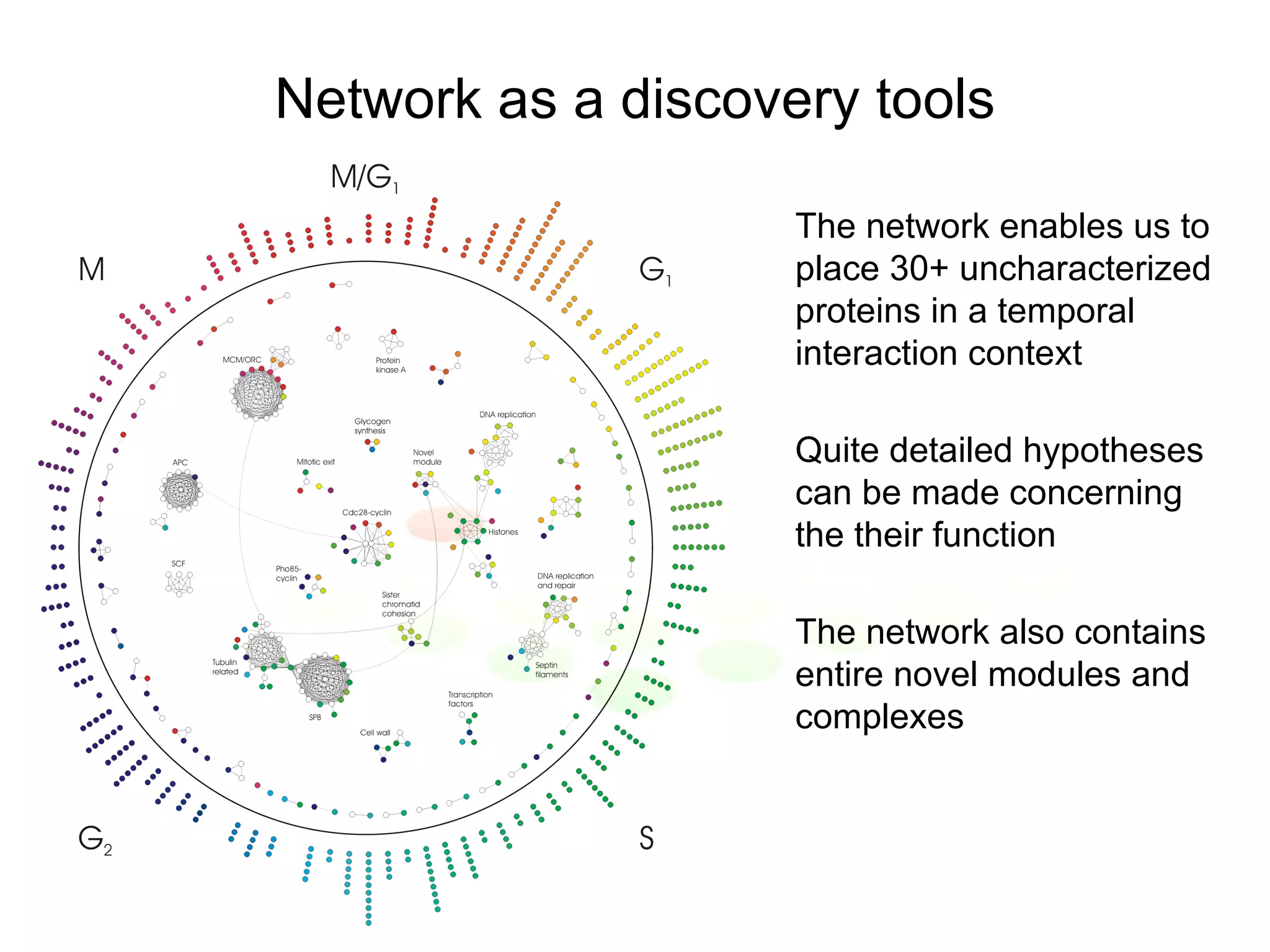 Network as a discovery tools The network enables us to place 30+ uncharacterized proteins in a temporal interaction context Quite detailed hypotheses can be made concerning the their function The network also contains entire novel modules and complexes 