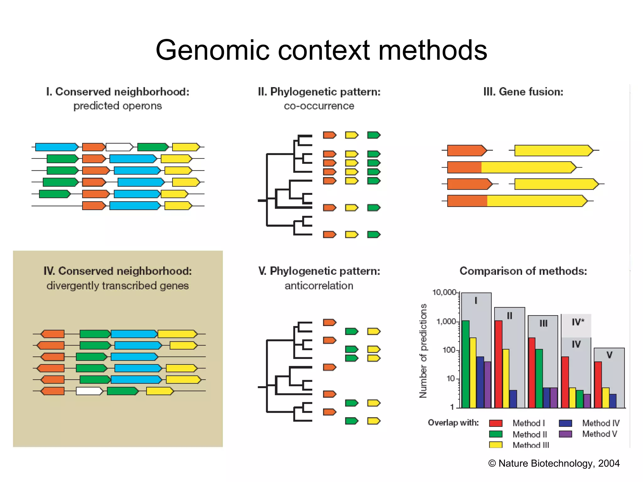 Genomic context methods © Nature Biotechnology, 2004 