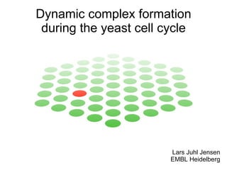 Lars Juhl Jensen EMBL Heidelberg Dynamic complex formation during the yeast cell cycle 