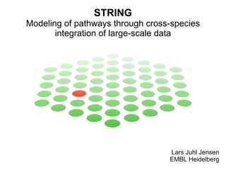 STRING Modeling of pathways through cross-species integration of large-scale data Lars Juhl Jensen EMBL Heidelberg 