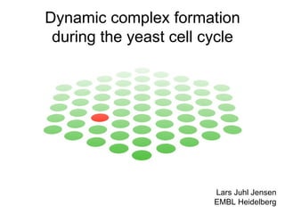 Lars Juhl Jensen EMBL Heidelberg Dynamic complex formation during the yeast cell cycle 