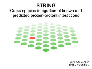 STRING Cross-species integration of known and predicted protein-protein interactions Lars Juhl Jensen EMBL Heidelberg 