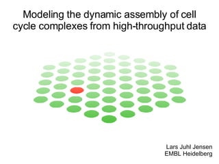 Lars Juhl Jensen EMBL Heidelberg Modeling the dynamic assembly of cell cycle complexes from high-throughput data 
