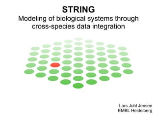 STRING Modeling of biological systems through cross-species data integration Lars Juhl Jensen EMBL Heidelberg 