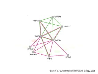 Protein interaction networks from yeast to human | PPT