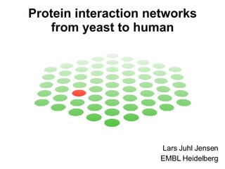 Protein interaction networks from yeast to human Lars Juhl Jensen EMBL Heidelberg 