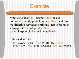 Example Mitotic cyclin ( Clb2 )-bound  Cdc28  (Cdk1 homolog) directly phosphorylated  Swe1  and this modification served as a priming step to promote subsequent  Cdc5 -dependent  Swe1  hyperphosphorylation and degradation Entities identified S. cerevisiae  proteins:  Clb2  (YPR119W),  Cdc28  (YBR160W),  Swe1  (YJL187C), and  Cdc5  (YMR001C) 