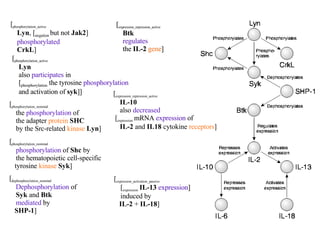 [ expression_repression_active Btk regulates the  IL-2 gene ] [ dephosphorylation_nominal Dephosphorylation of Syk  and  Btk mediated by    SHP-1 ] [ phosphorylation_nominal phosphorylation of  Shc  by the hematopoietic cell-specific   tyrosine kinase  Syk ] [ phosphorylation_nominal the phosphorylation of the adapter protein  SHC by the Src-related kinase  Lyn ] [ phosphorylation_active Lyn also participates in [ phosphorylation  the tyrosine phosphorylation and activation of  syk ]] [ phosphorylation_active Lyn , [ negation  but not  Jak2 ] phosphorylated CrkL ] [ phosphorylation_active Lyn , [ negation  but not  Jak2 ] phosphorylated CrkL ] [ phosphorylation_active Lyn also  participates  in [ phosphorylation  the tyrosine  phosphorylation and activation of  syk ]] [ phosphorylation_nominal the  phosphorylation  of the adapter  protein   SHC by the Src-related  kinase   Lyn ] [ phosphorylation_nominal phosphorylation  of  Shc  by the hematopoietic cell-specific   tyrosine  kinase   Syk ] [ dephosphorylation_nominal Dephosphorylation  of Syk  and  Btk mediated  by    SHP-1 ] [ expression_repression_active IL-10 also decreased  [ expression  mRNA expression of  IL-2  and  IL18  cytokine receptors] [ expression_repression_active IL-10 also  decreased  [ expression   mRNA  expression  of  IL-2  and  IL18  cytokine  receptors ] [ expression_activation_passive [ expression   IL-13  expression] induced by    IL-2 + IL-18 ] [ expression_activation_passive [ expression   IL-13  expression ] induced by    IL-2  +  IL-18 ] [ expression_repression_active Btk regulates the  IL-2  gene ] 