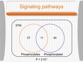Signaling pathways 11 27 44 3704 Phosphorylates Phosphorylated P < 2  10 -7 