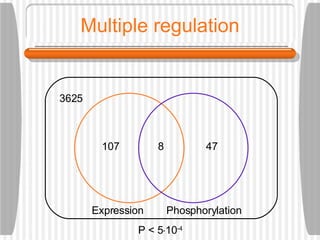 Multiple regulation 8 107 47 3625 Expression Phosphorylation P < 5  10 -4 