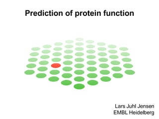 Prediction of protein function Lars Juhl Jensen EMBL Heidelberg 