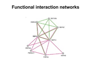 Functional interaction networks 