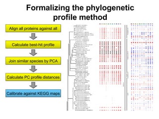 Formalizing the phylogenetic profile method Align all proteins against all Calculate best-hit profile Join similar species by PCA Calculate PC profile distances Calibrate against KEGG maps 