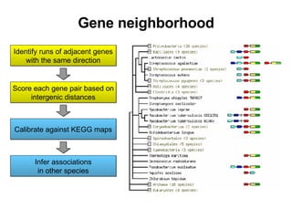 Gene neighborhood Identify runs of adjacent genes with the same direction Score each gene pair based on intergenic distances Calibrate against KEGG maps Infer associations in other species 