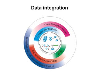 Data integration 
