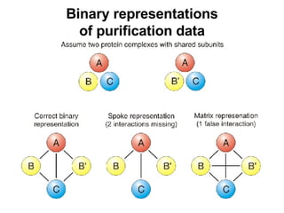 Binary representations of purification data 
