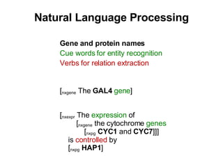 Gene  and protein  names Cue words for entity recognition Verbs for relation extraction [ nxgene  The  GAL4   gene ] [ nxexpr  T he  expression  of   [ nxgene   the cytochrome  genes   [ nxpg   CYC1  and  CYC7 ]]] is  controlled  by [ nxpg   HAP1 ] Natural Language Processing 