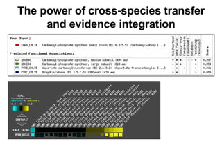 The power of cross-species transfer and evidence integration 