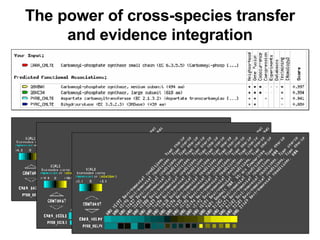 The power of cross-species transfer and evidence integration 