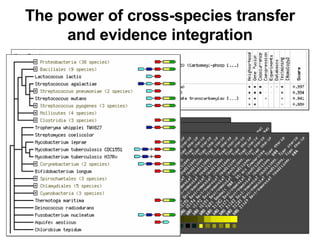 The power of cross-species transfer and evidence integration 