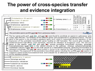 The power of cross-species transfer and evidence integration 