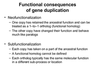 Functional consequences of gene duplication Neofunctionalization One copy has retained the ancestral function and can be treated as a 1–to–1 ortholog (functional homolog) The other copy have changed their function and behave much like paralogs Subfunctionalization Each copy has taken on a part of the ancestral function A functional homolog cannot be defined Each ortholog typically has the same molecular function in a different sub-process or location 