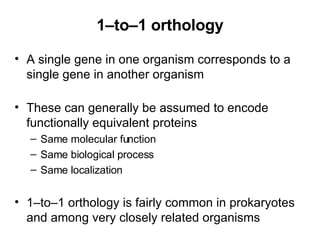 1–to–1 orthology A single gene in one organism corresponds to a single gene in another organism These can generally be assumed to encode functionally equivalent proteins Same molecular function Same biological process Same localization 1–to–1 orthology is fairly common in prokaryotes and among very closely related organisms 