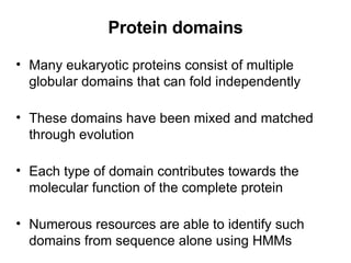 Protein domains Many eukaryotic proteins consist of multiple globular domains that can fold independently These domains have been mixed and matched through evolution Each type of domain contributes towards the molecular function of the complete protein Numerous resources are able to identify such domains from sequence alone using HMMs 