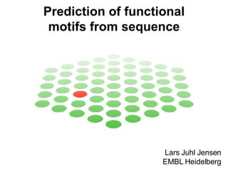 Prediction of functional motifs from sequence Lars Juhl Jensen EMBL Heidelberg 