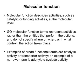 Molecular function Molecular function describes activities, such as catalytic or binding activities, at the molecular level GO molecular function terms represent activities rather than the entities that perform the actions, and do not specify where or when, or in what context, the action takes place Examples of broad functional terms are catalytic activity or transporter activity; an example of a narrower term is adenylate cyclase activity 