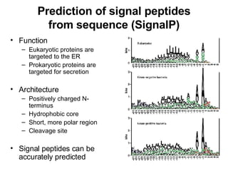 Prediction of signal peptides from sequence (SignalP) Function Eukaryotic proteins are targeted to the ER Prokaryotic proteins are targeted for secretion Architecture Positively charged N-terminus Hydrophobic core Short, more polar region Cleavage site Signal peptides can be accurately predicted 