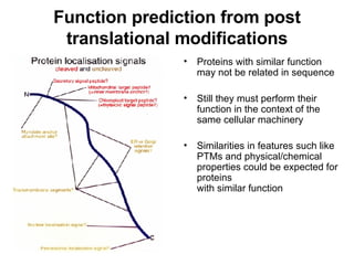 Function prediction from post translational modifications Proteins with similar function may not be related in sequence Still they must perform their function in the context of the same cellular machinery Similarities in features such like PTMs and physical/chemical properties could be expected for proteins with similar function 