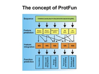 The concept of ProtFun 