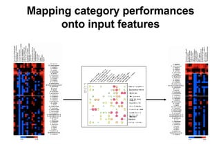 Mapping category performances onto input features 