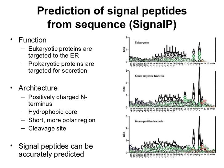 Protein function prediction