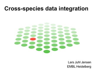 Cross-species data integration   Lars Juhl Jensen EMBL Heidelberg 