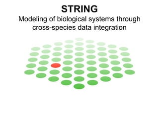 STRING Modeling of biological systems through cross-species data integration 